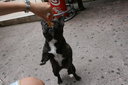 gal/cro 08/_thb_small-IMG_5064.JPG